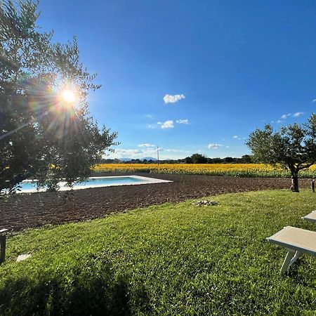 Assisium Agriturismo Екстериор снимка