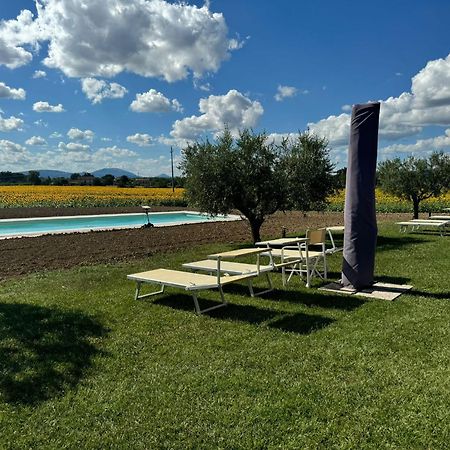 Assisium Agriturismo Екстериор снимка