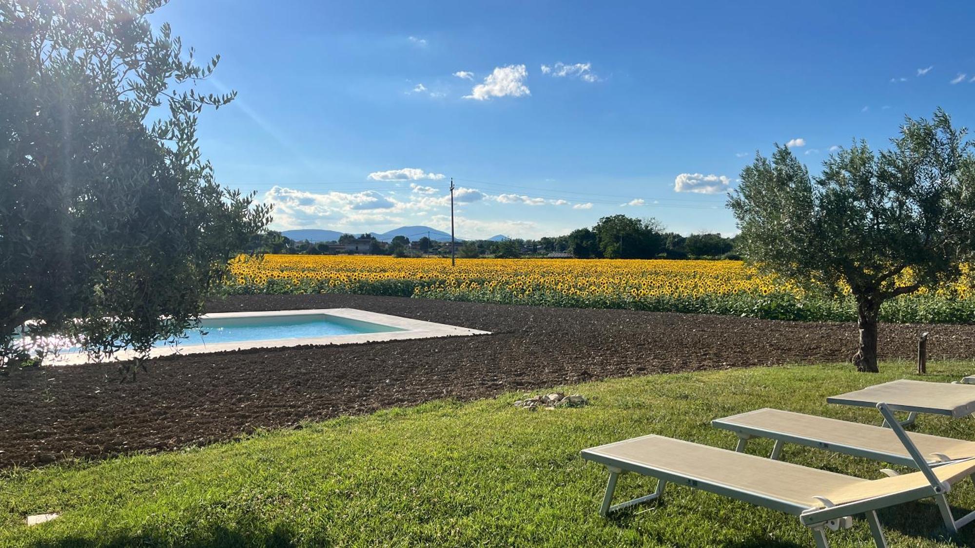 Assisium Agriturismo Екстериор снимка