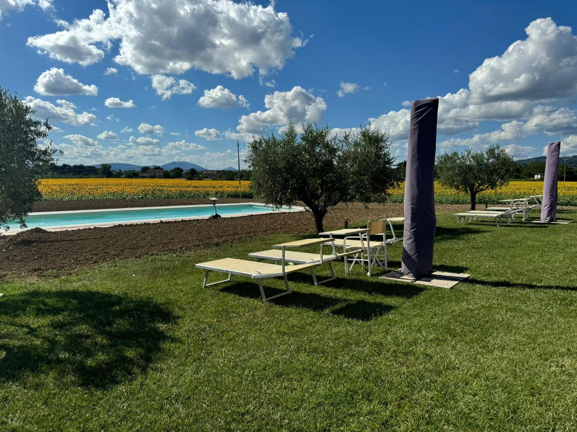 Assisium Agriturismo Екстериор снимка