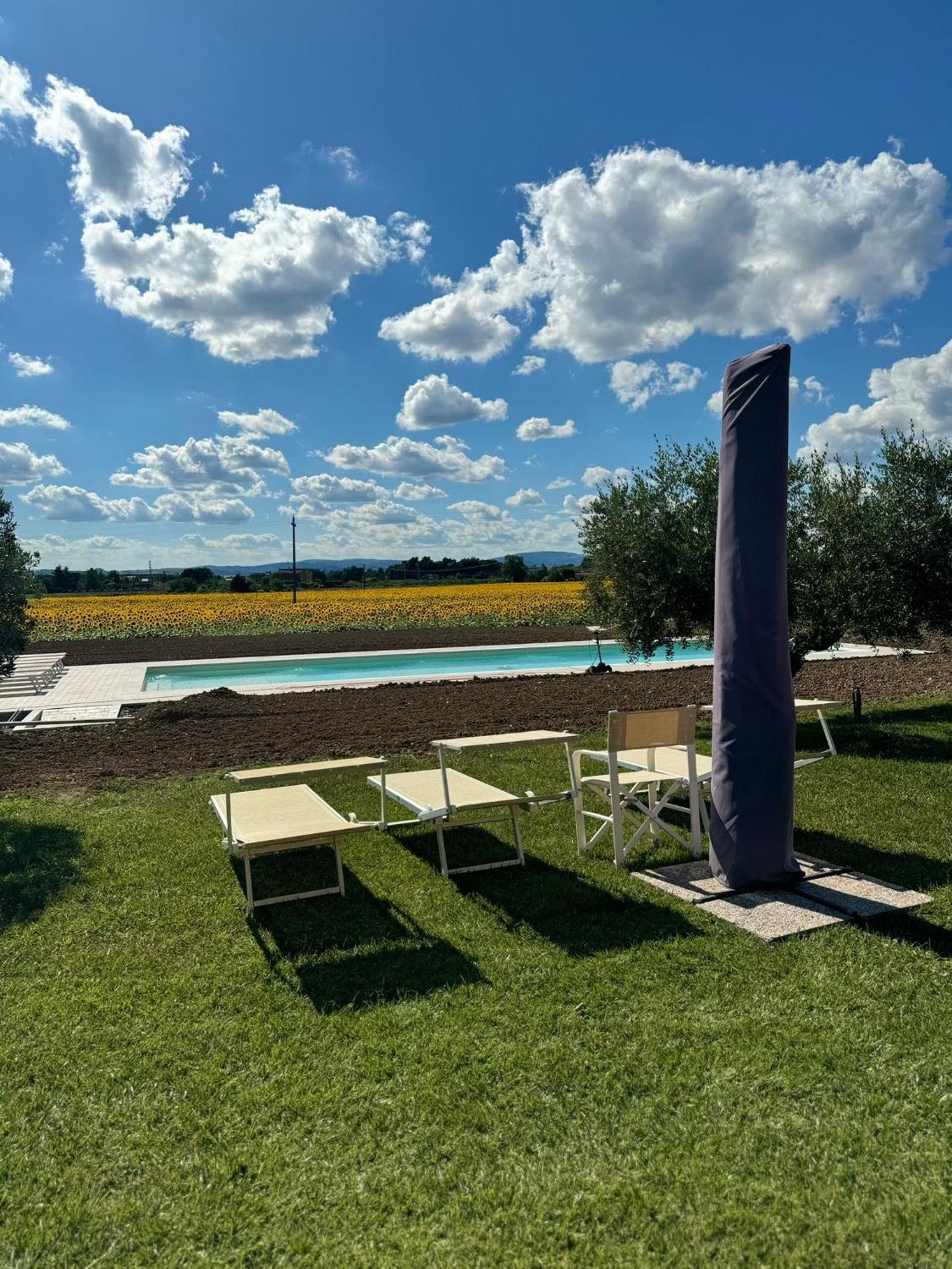 Assisium Agriturismo Екстериор снимка