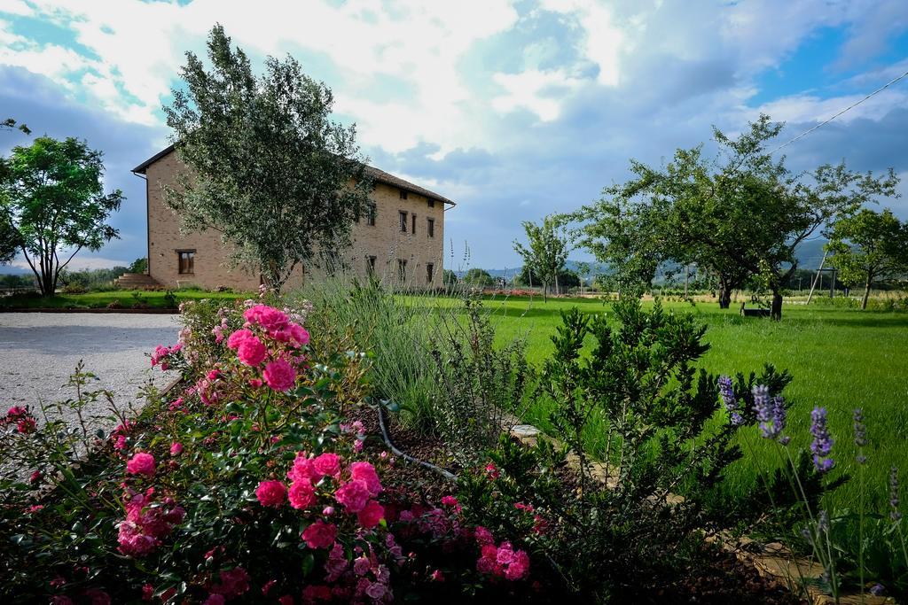 Assisium Agriturismo Екстериор снимка