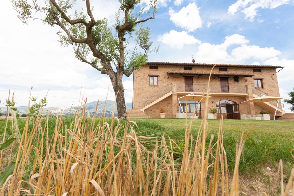 Assisium Agriturismo Екстериор снимка