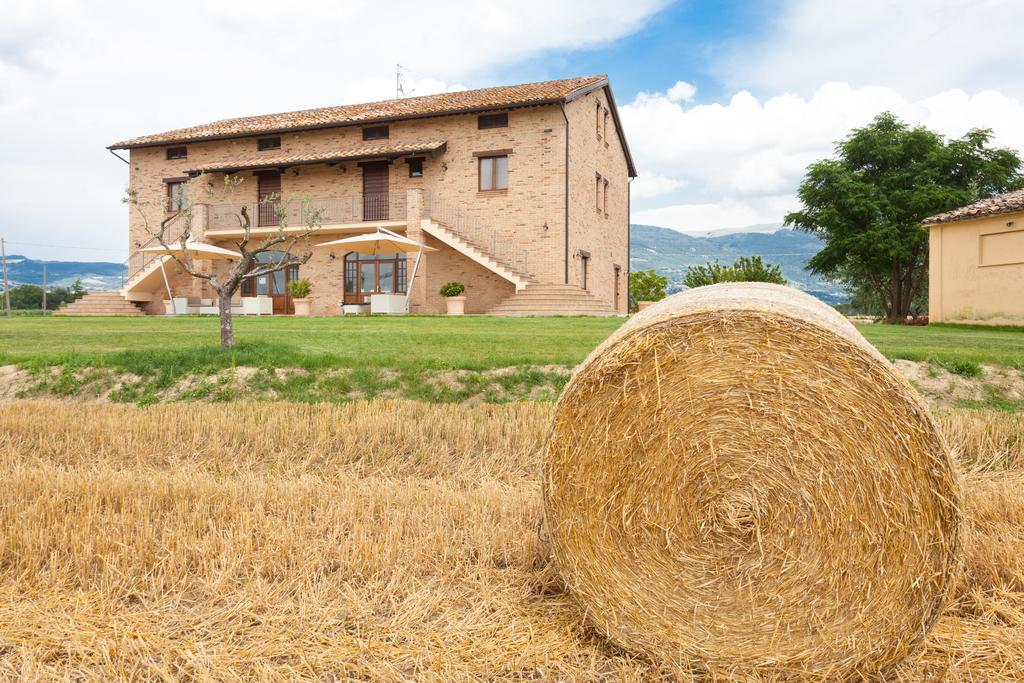 Assisium Agriturismo Екстериор снимка
