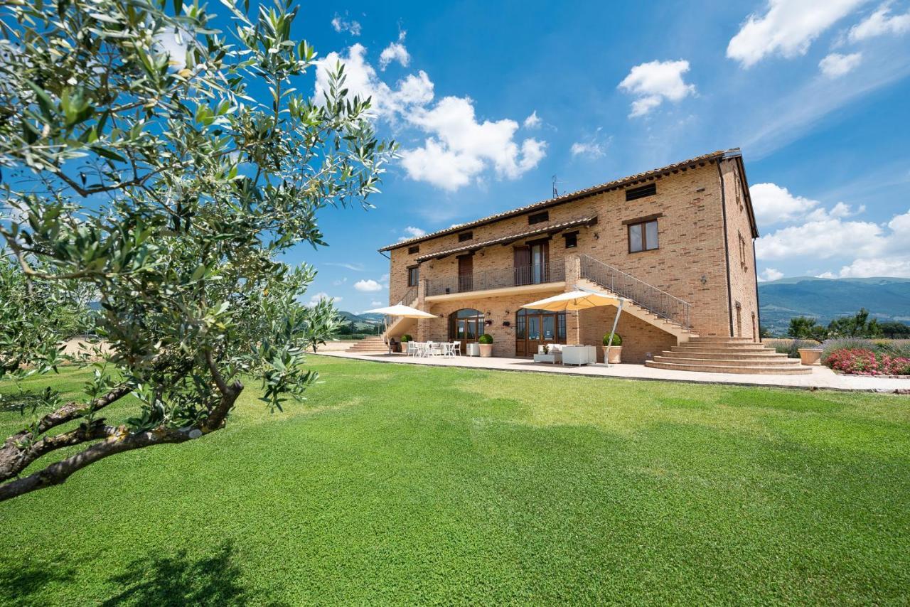 Assisium Agriturismo Екстериор снимка