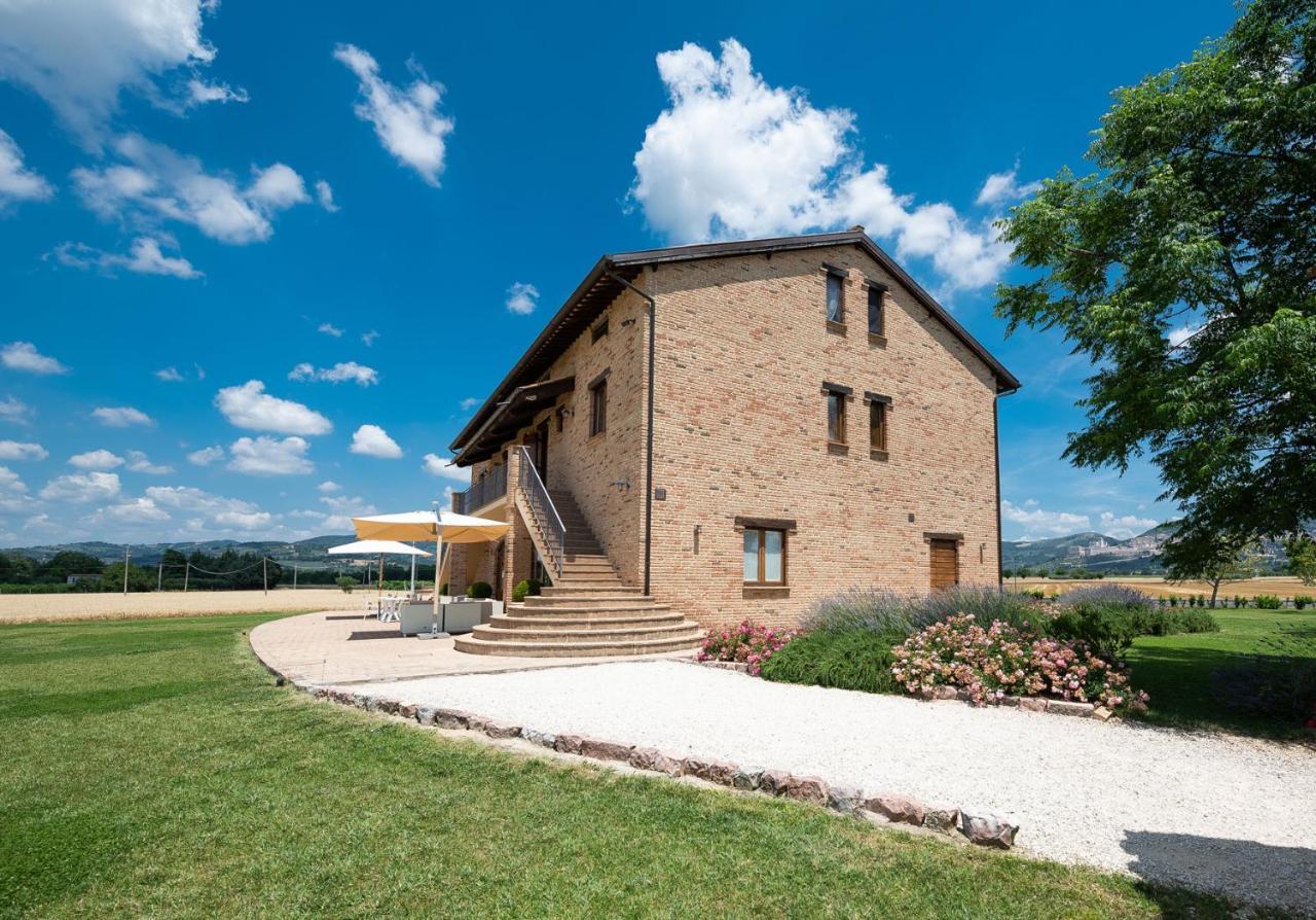 Assisium Agriturismo Екстериор снимка